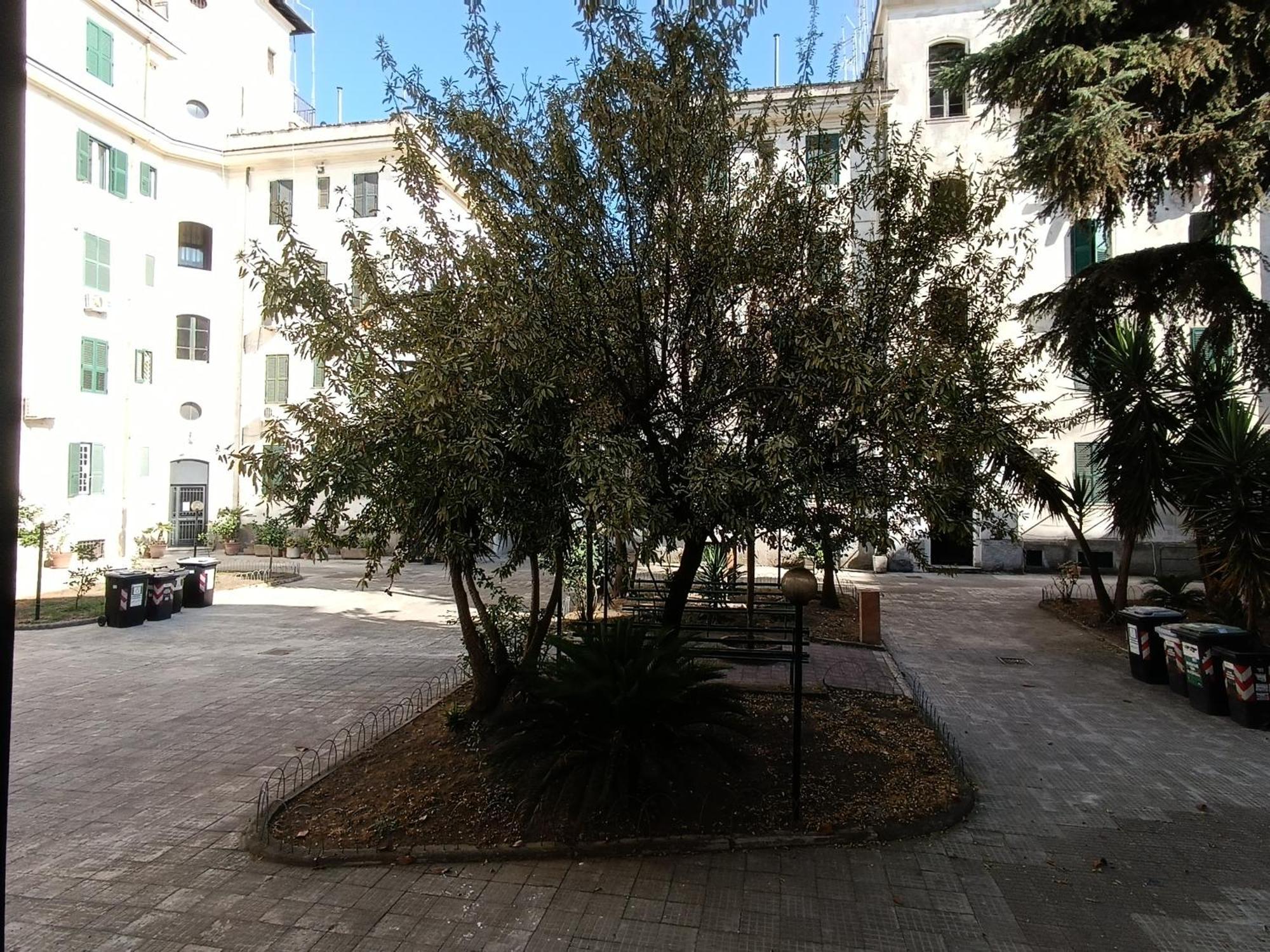 Apartment Testaccio Charme Rom